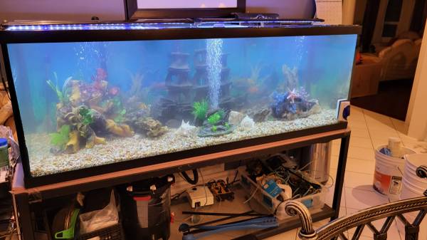 aquarium cleaning services san marcos
